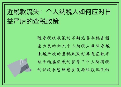 近税款流失：个人纳税人如何应对日益严厉的查税政策